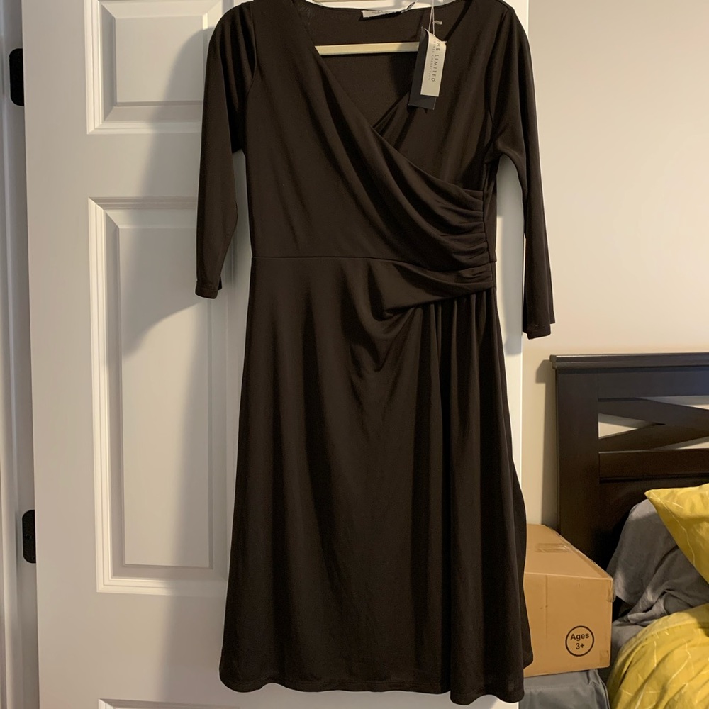 The Limited Dress